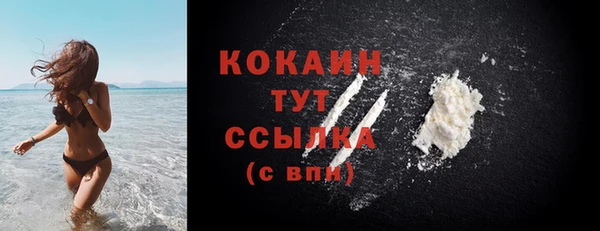 прущие крисы Кропоткин