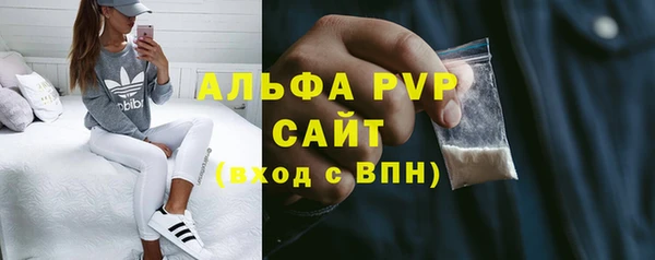 ПСИЛОЦИБИНОВЫЕ ГРИБЫ Козловка