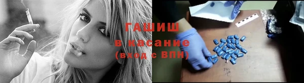 ПСИЛОЦИБИНОВЫЕ ГРИБЫ Козловка