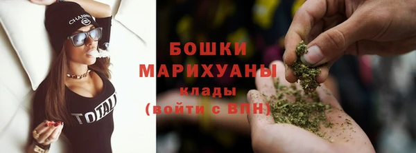 ПСИЛОЦИБИНОВЫЕ ГРИБЫ Козловка