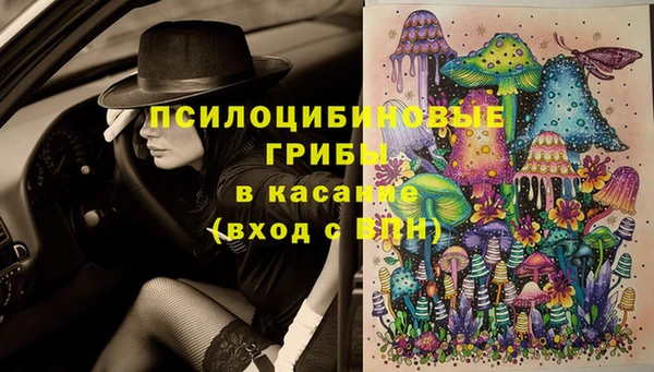 дурь Киренск