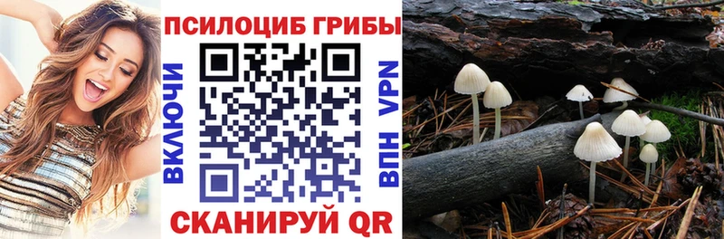 Псилоцибиновые грибы Cubensis  Михайловка 